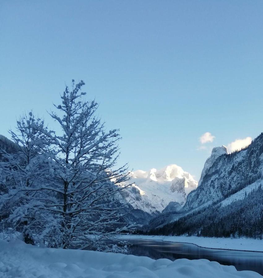 Appartement Kalvarienberg Gosau
