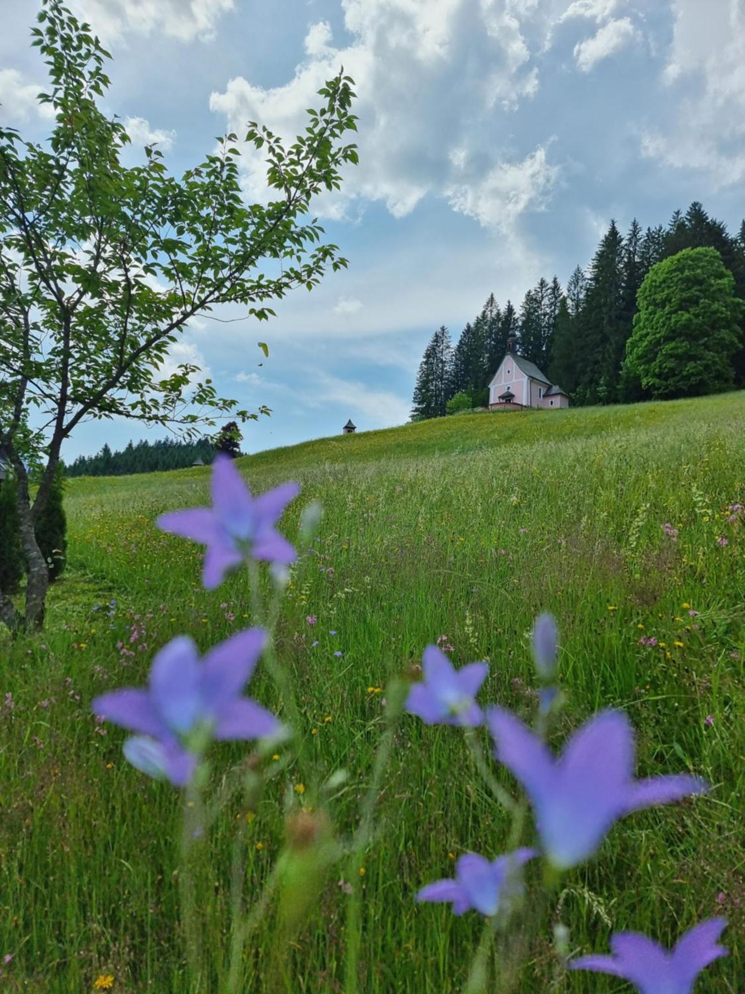 Kalvarienberg Gosau